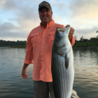large mouth bass