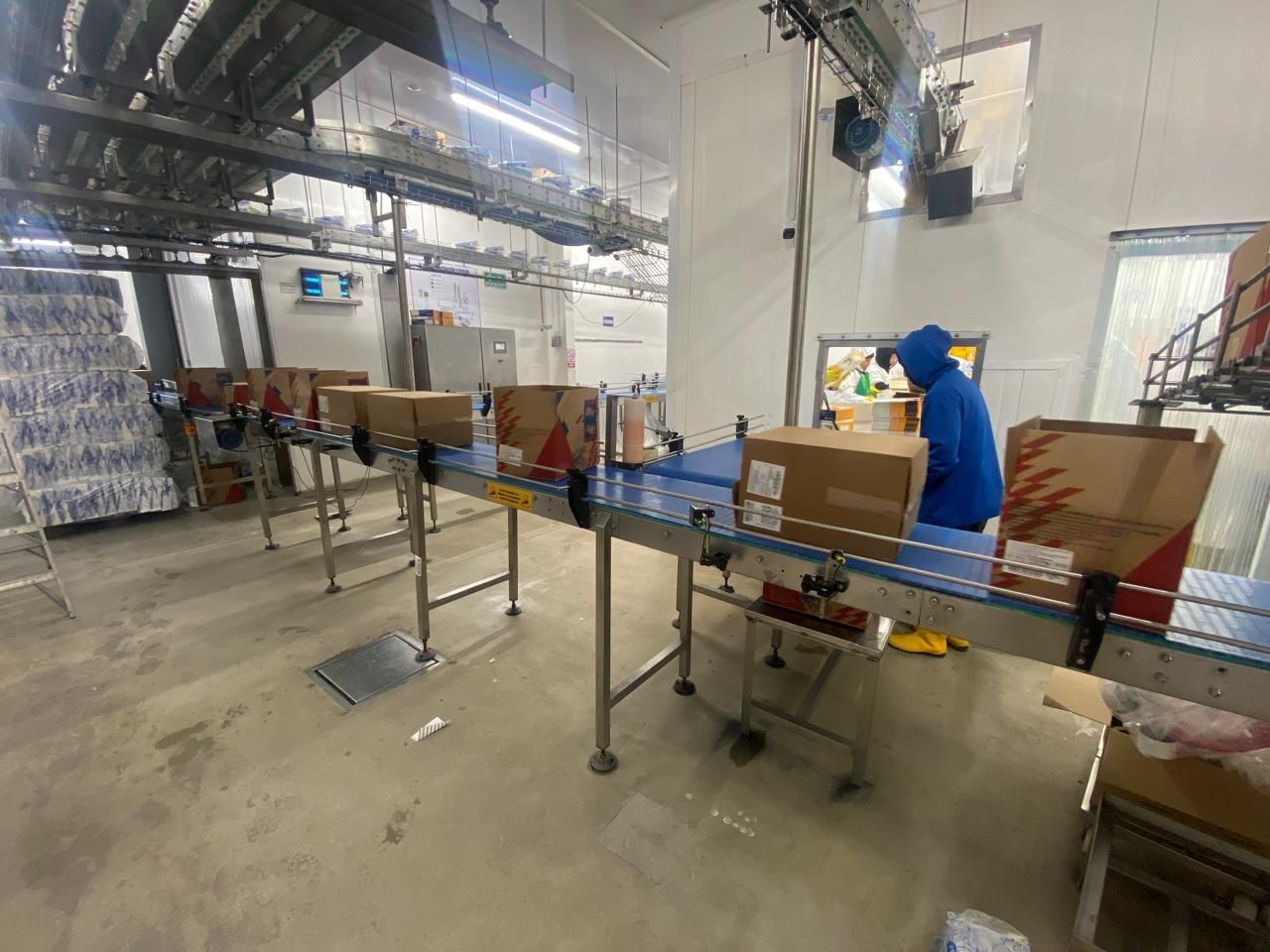 Cajas en una cinta transportadora en una instalación de procesamiento de alimentos, trabajador con traje azul.