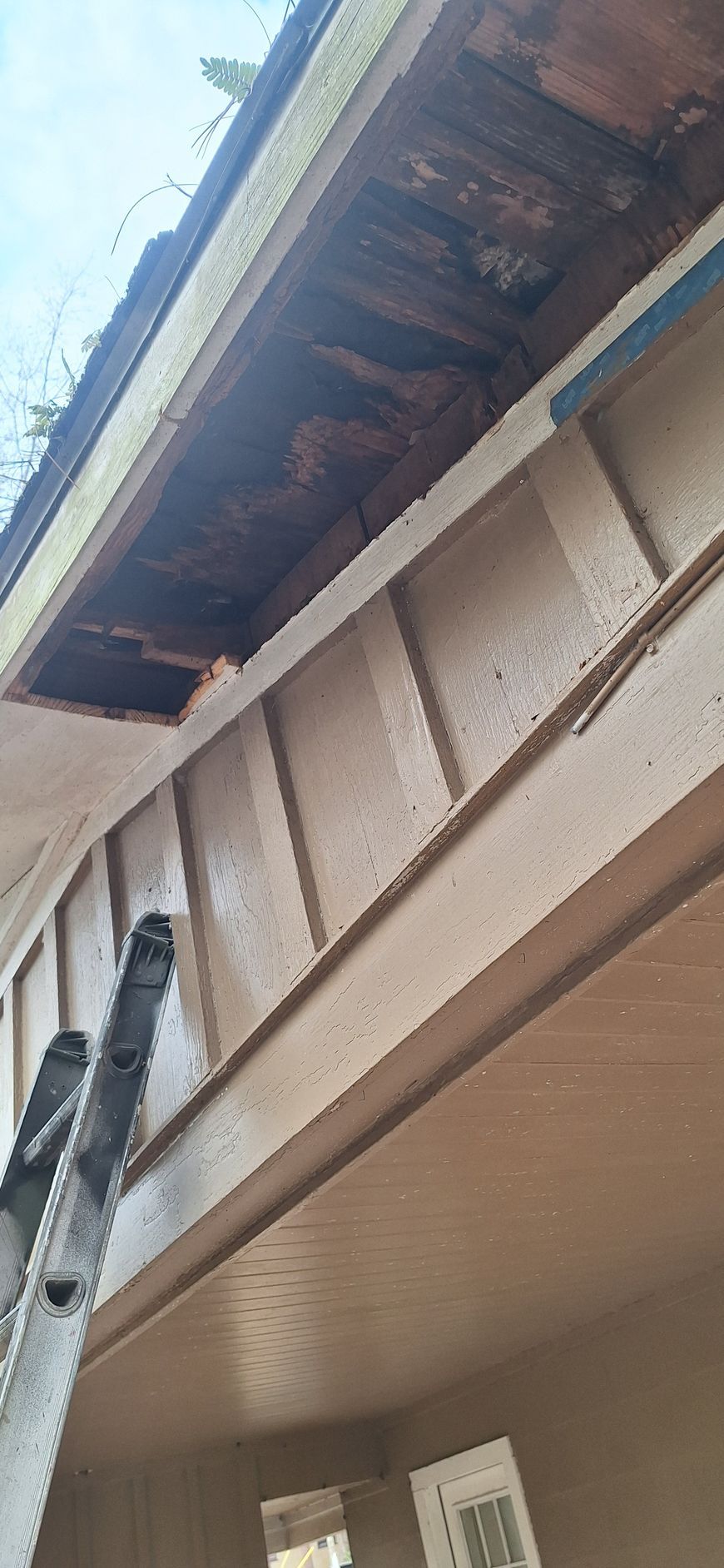 Close-up of house eaves and soffit with exposed roof decking and a ladder against the wall