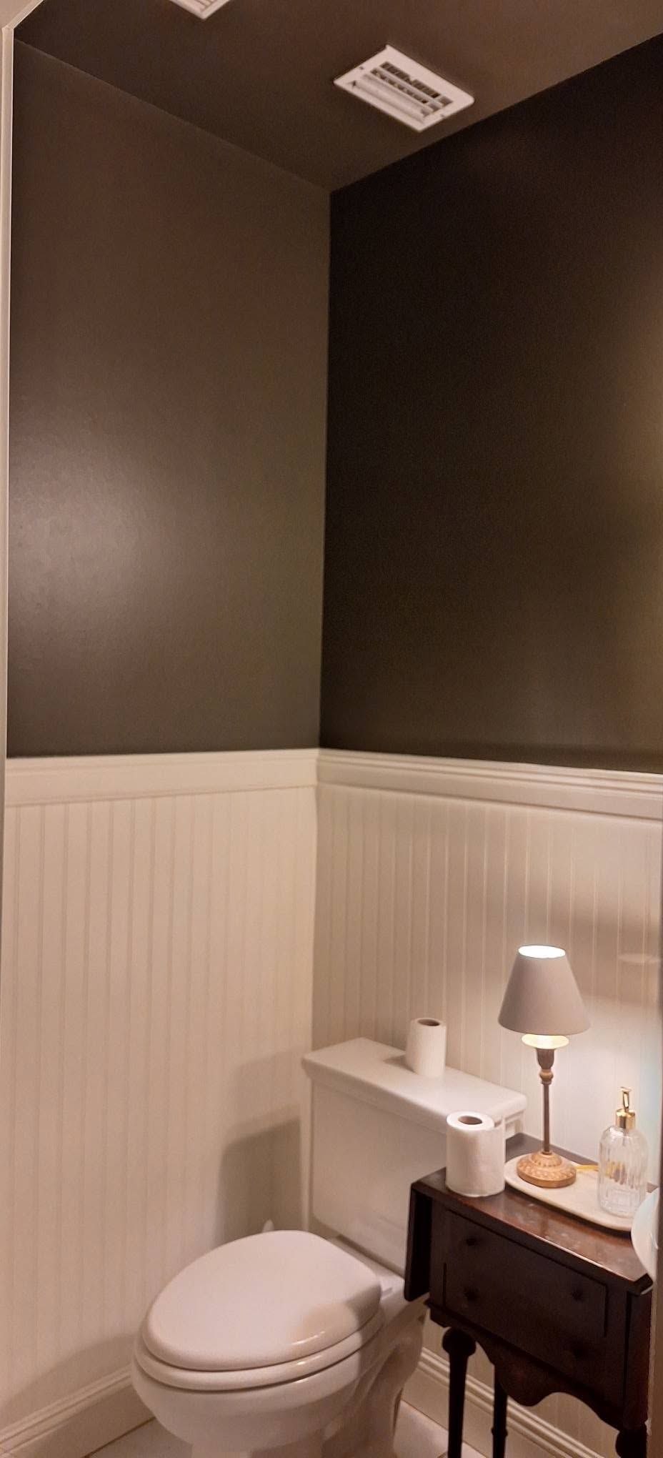 Small bathroom with a toilet, dark walls, white wainscoting, and a lamp on a wooden vanity.