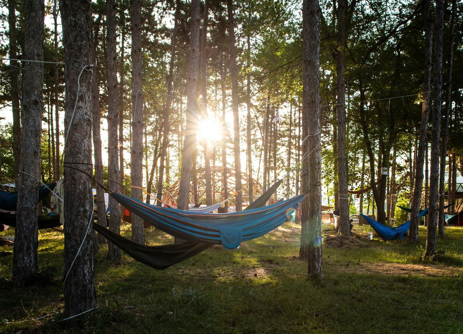 Hammocks strung between trees in a sunlit forest clearing at sunset