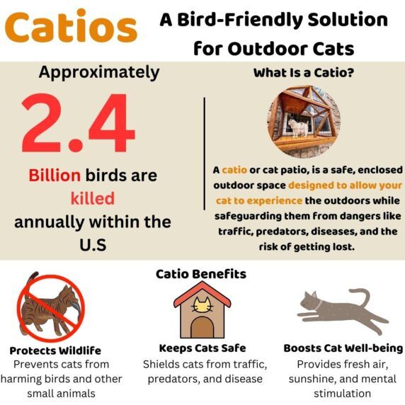 Infographic #2 Infographic #2