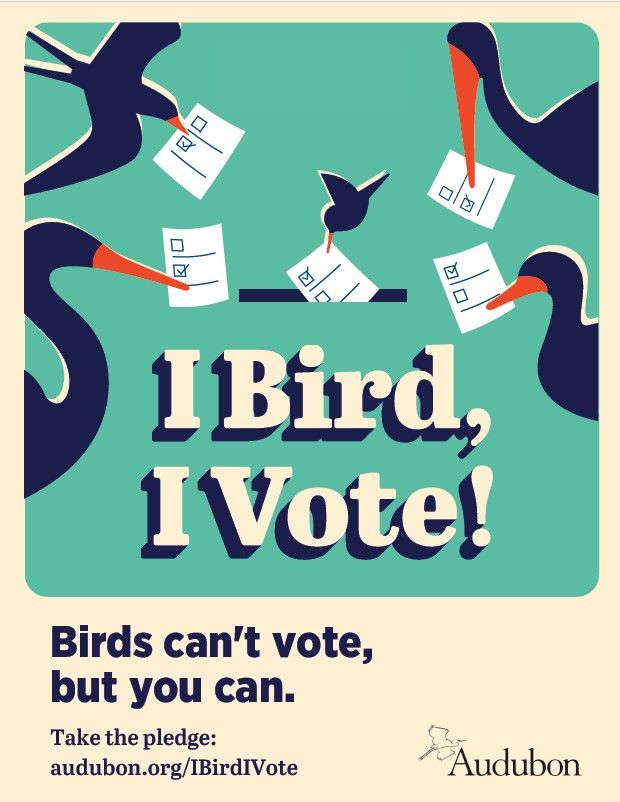 I bird, I vote. https://act.audubon.org/a/ibirdivote