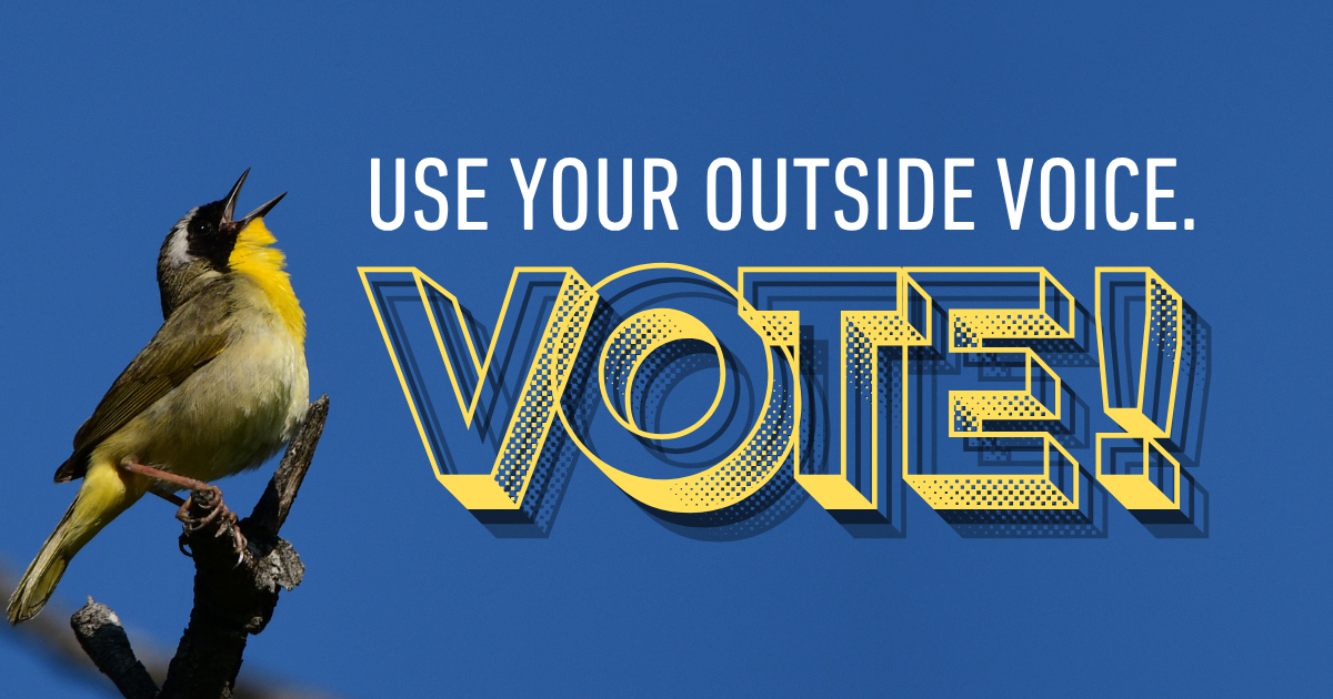 Use your outside voice. VOTE!