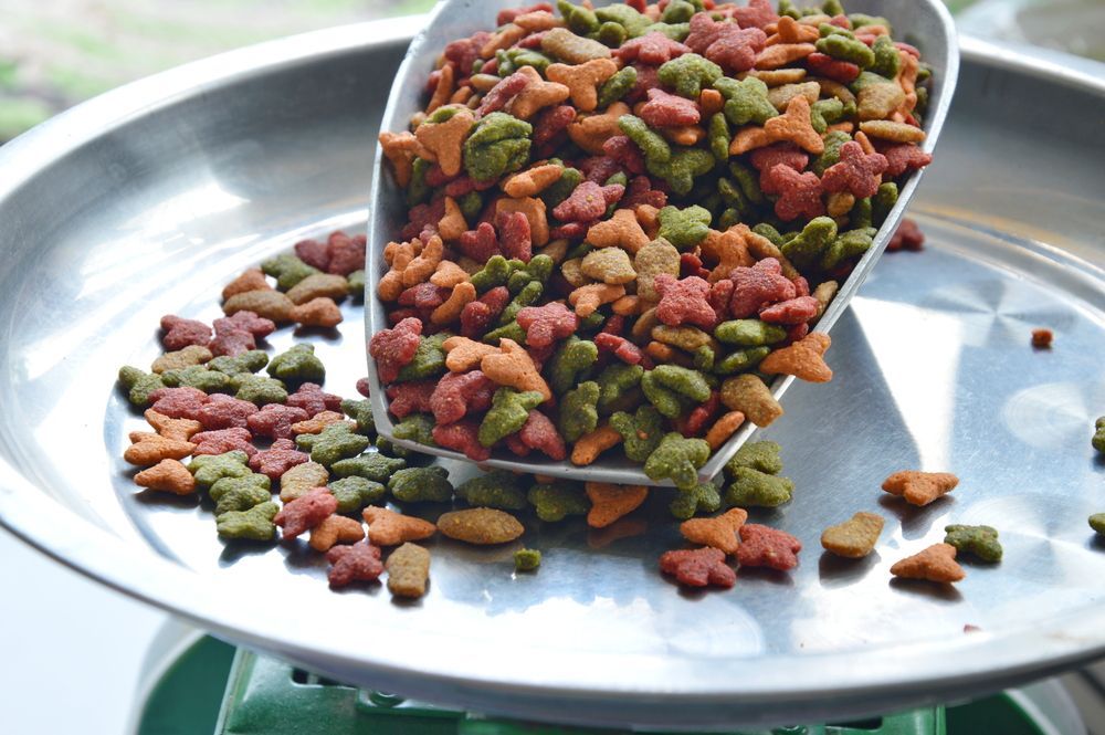 A Scoop Of Cat Food Is Being Poured Into A Bowl On A Scale — Diamond Beach Veterinary Clinic In Diamond Beach, NSW