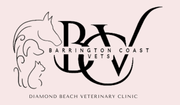 Your Local Vet On The Mid North Coast