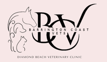 Your Local Vet On The Mid North Coast
