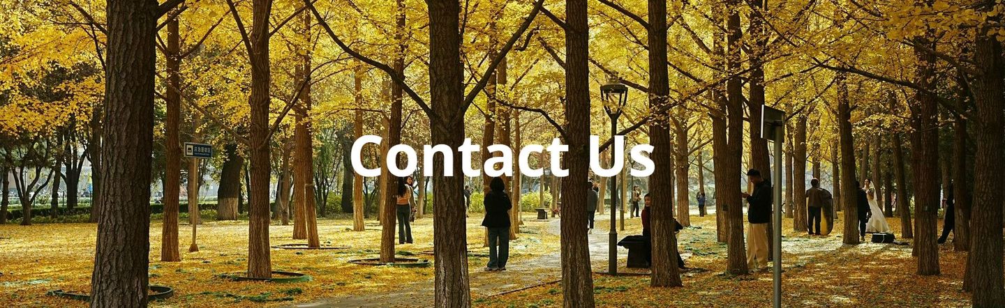 We see you seeking for the truth. Come visit us for answers.