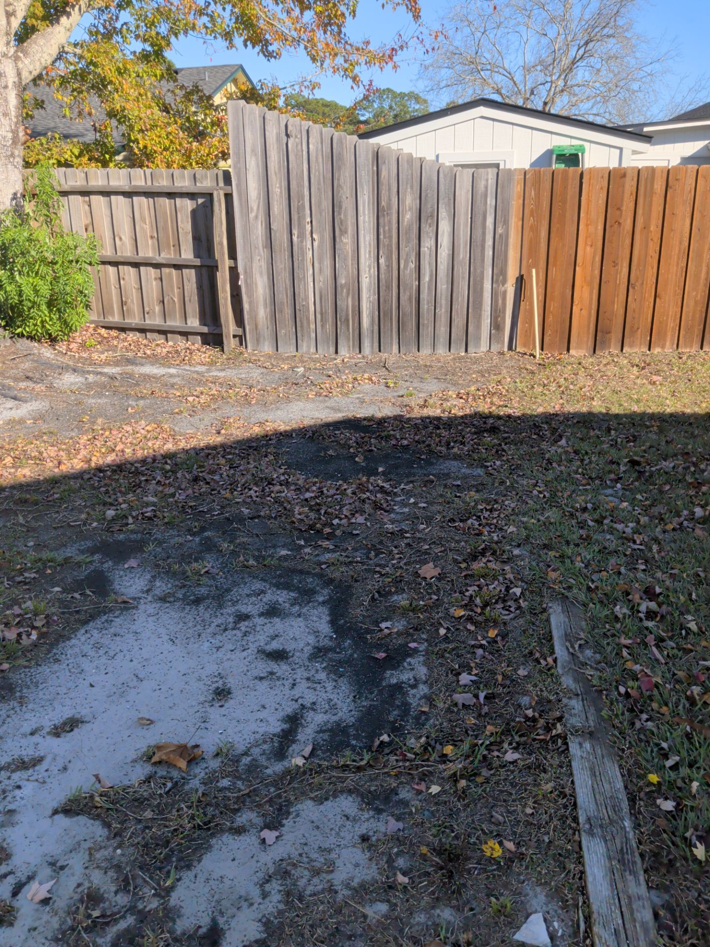 Backyard with three sections of wooden fence in different colors; leaves on the ground.