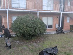 Person picking up trash in front of a brick apartment building with a wheelchair.