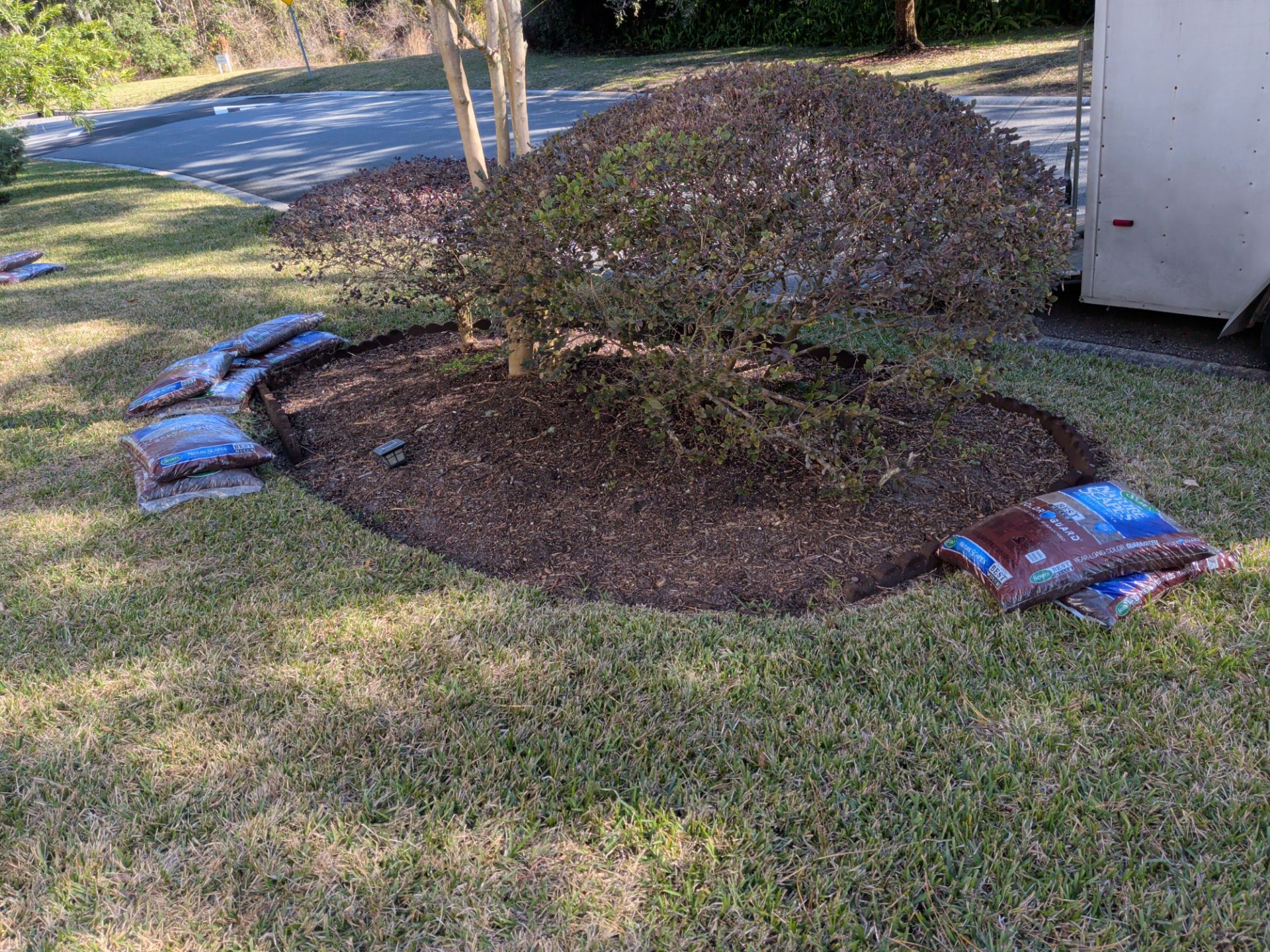 Mulch applied around a shrub in a yard, bags of mulch sit nearby.
