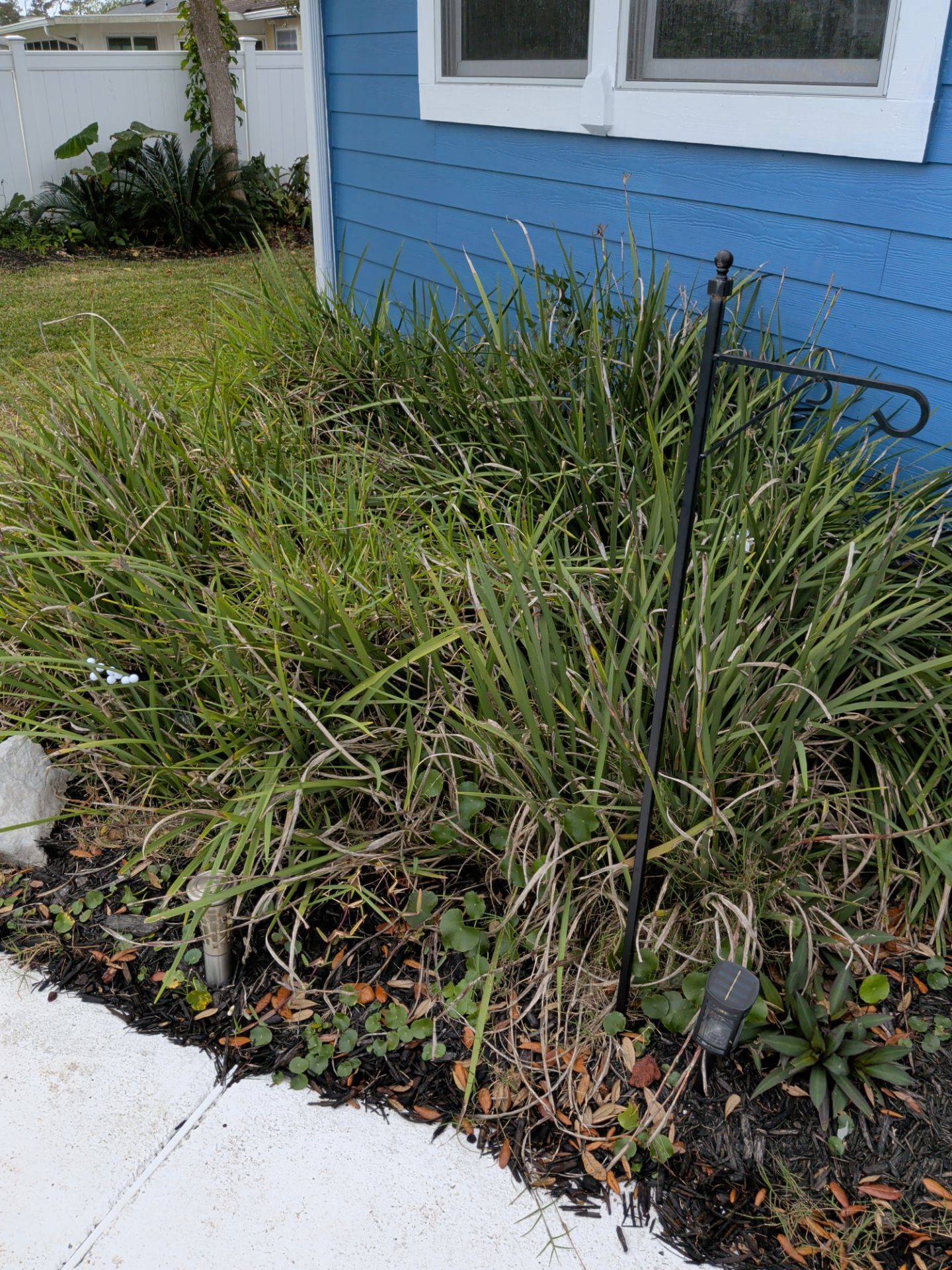 Blue house exterior with overgrown green foliage and a black garden flag holder.
