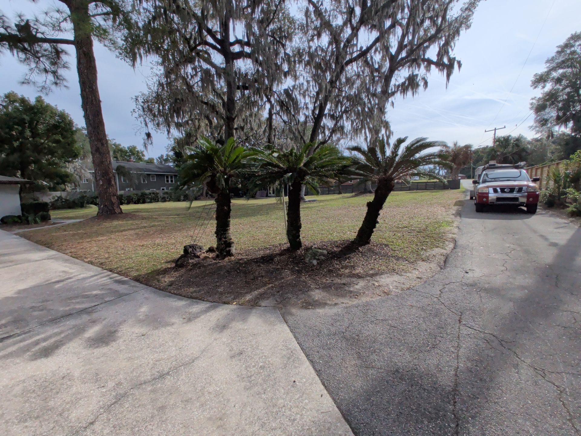 Paved road forks toward a yard with three small palm trees and a truck.