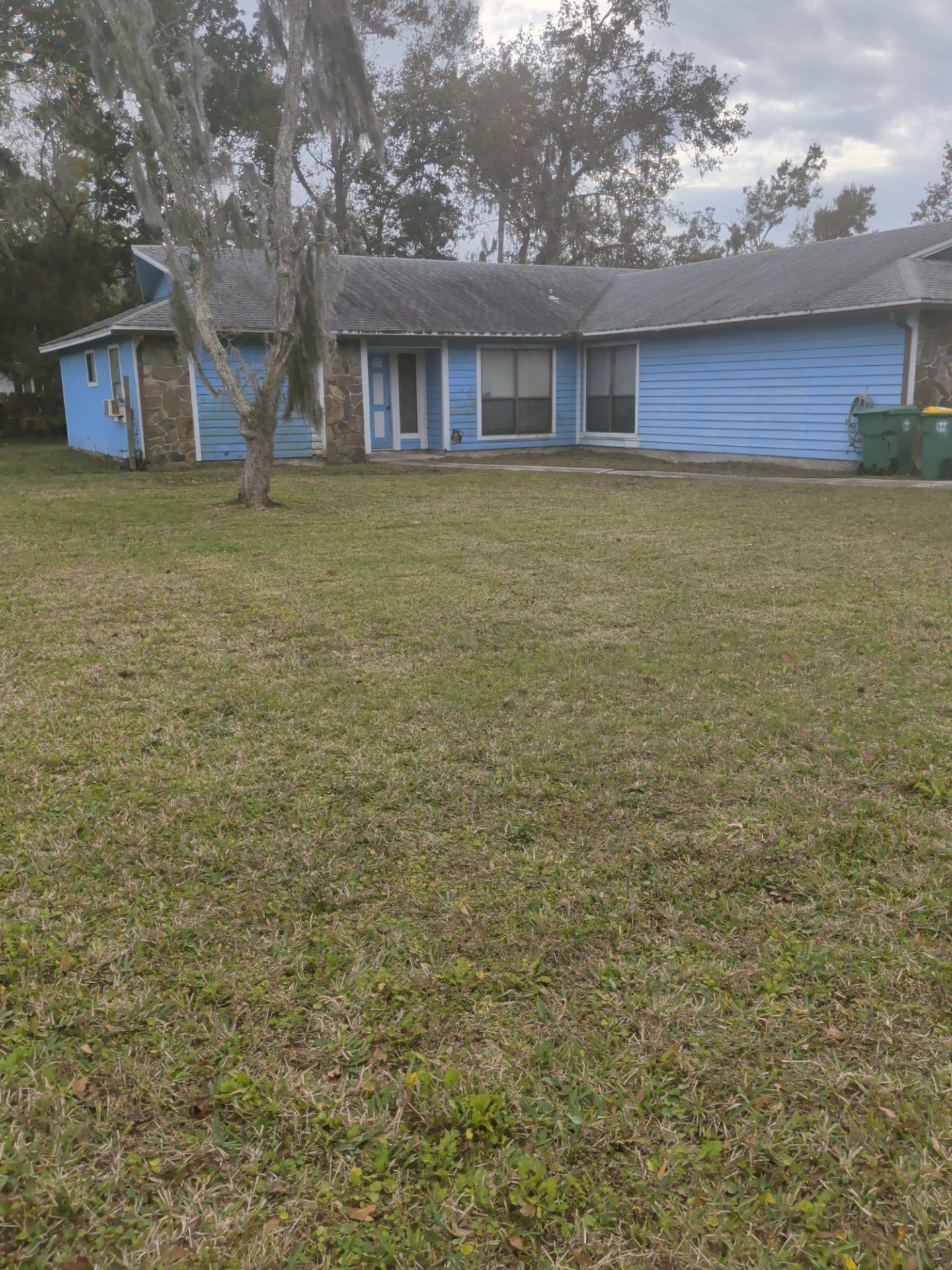 Blue house with a grassy front yard, a tree, and a cloudy sky.