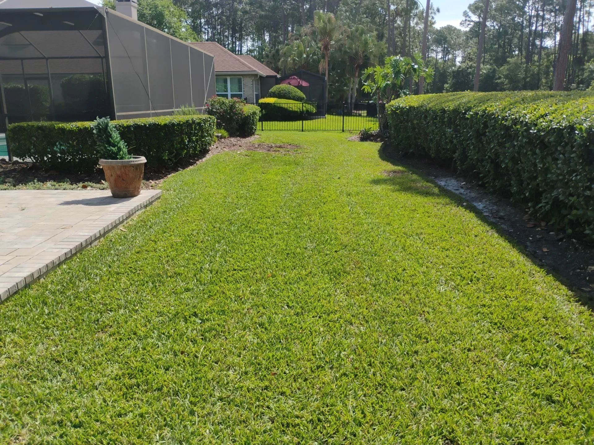 Sunny backyard with green lawn, trimmed hedges, potted plant, and a patio beside a house