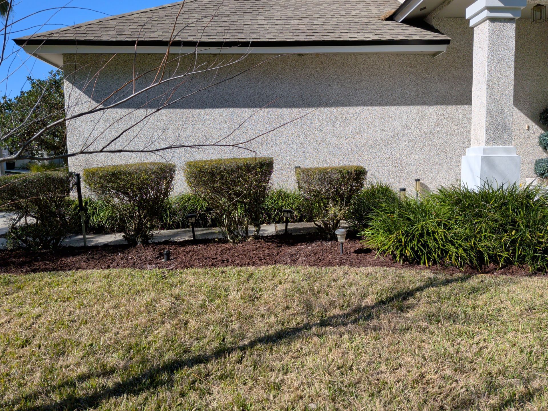 A house exterior with trimmed bushes in front of textured siding and a brown mulch bed.