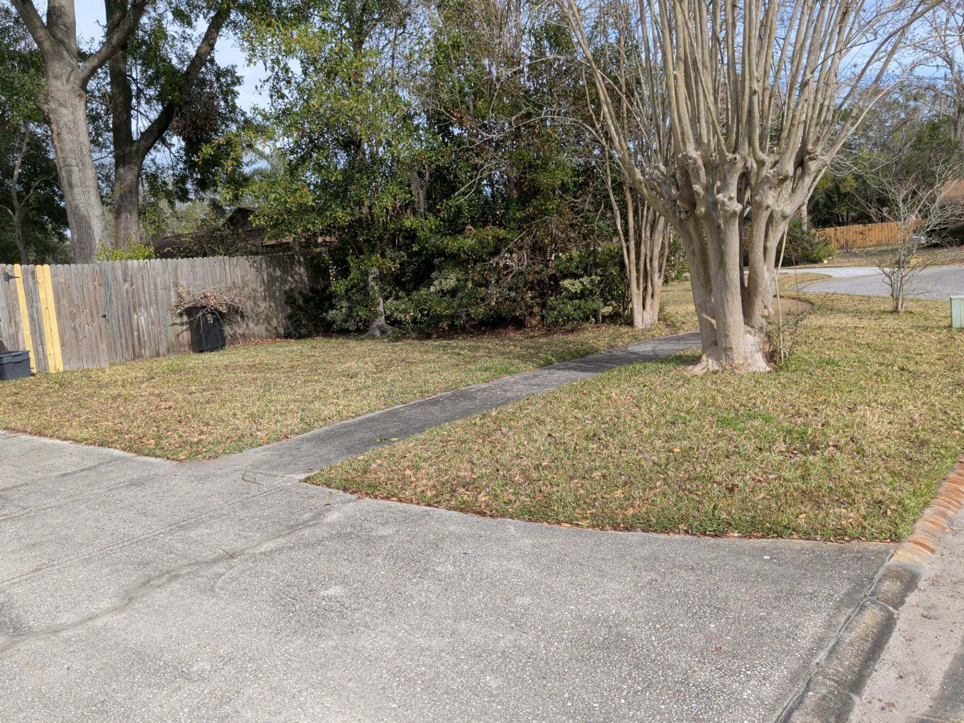 Sidewalk in front of lawn with dry grass, trees, and wooden fence on a sunny day.