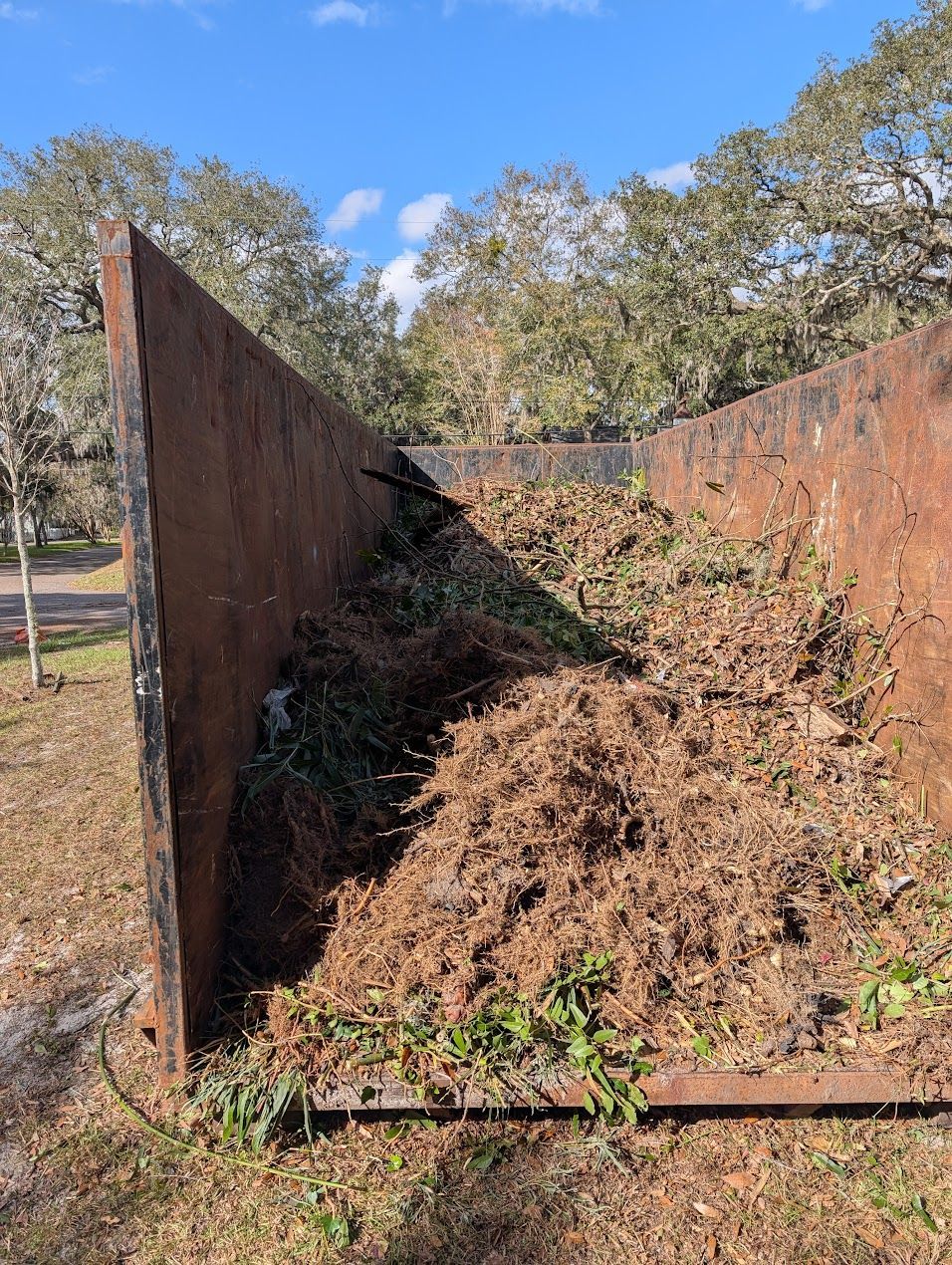 Large rusty metal dumpster filled with brown and green yard waste, outdoors.