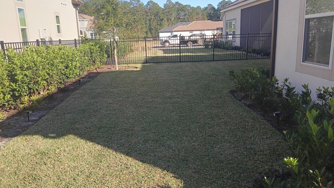 A grassy backyard with a black fence, bushes, and houses on a sunny day.