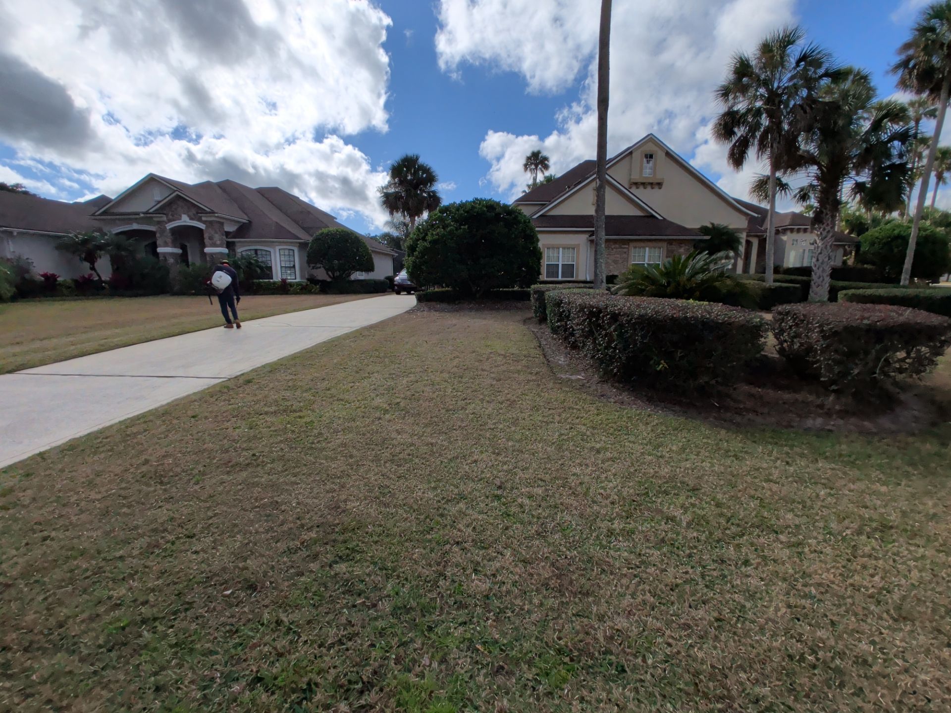 Suburban homes with brown roofs, green lawn, a person walking on a sidewalk under a cloudy sky.