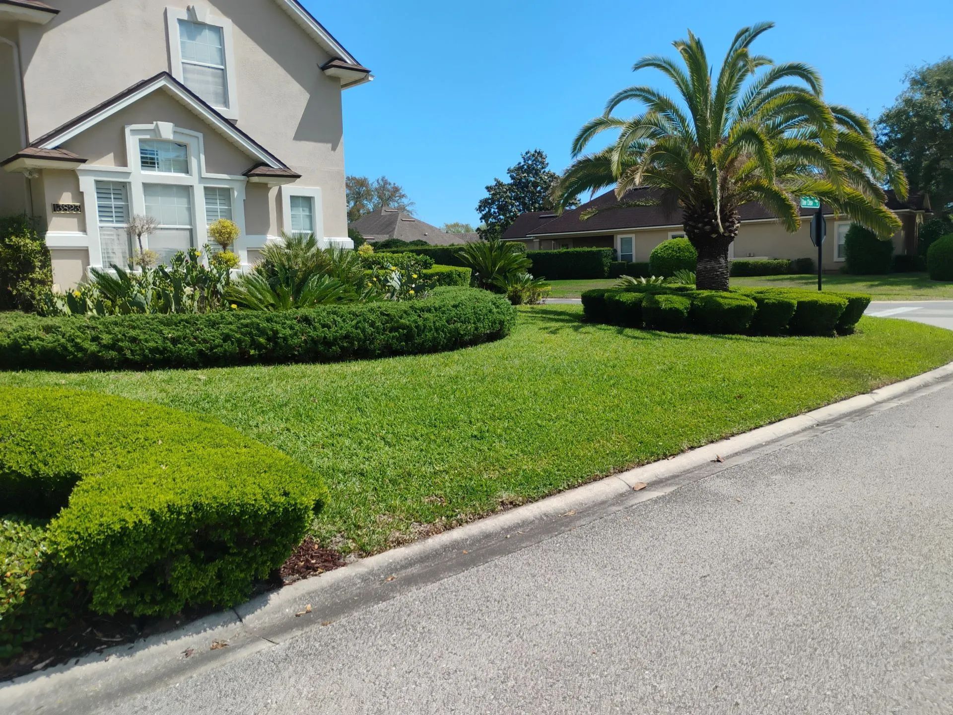 Sunny suburban house with manicured green lawn, palm tree, and driveway curb