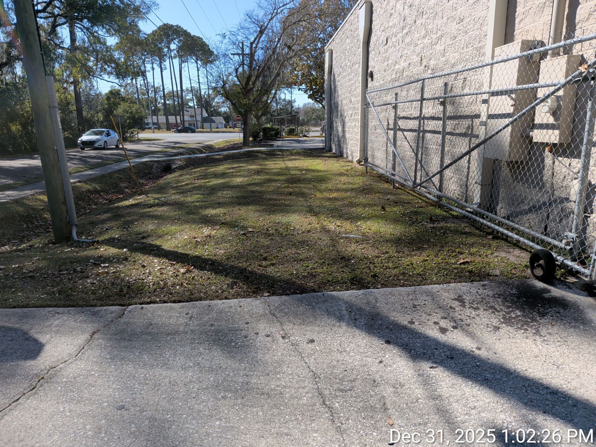 Grassy area beside a building and sidewalk, with a chain-link fence and a street in the background.