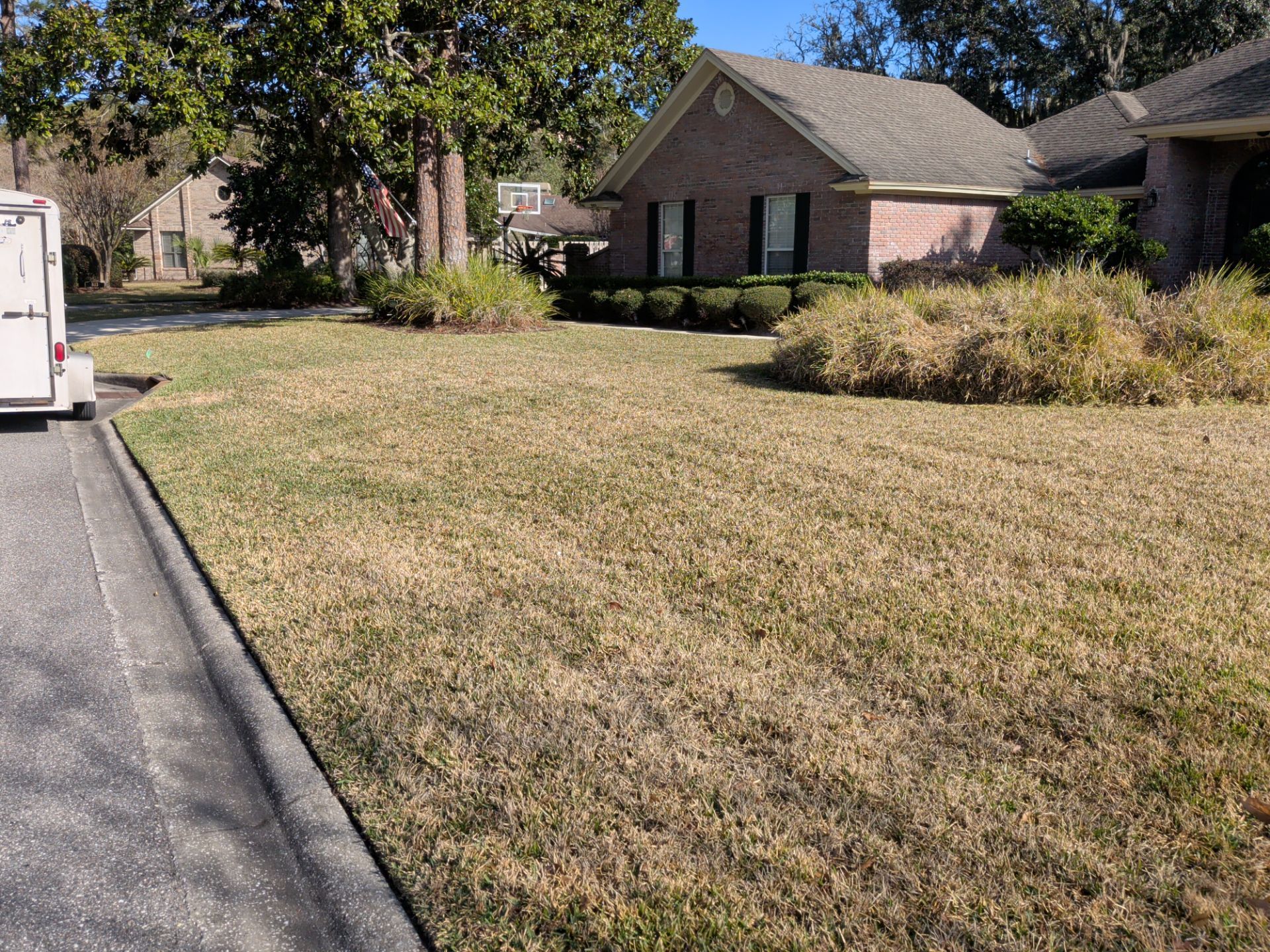 A brown lawn next to a street and a brick house with dark shutters.