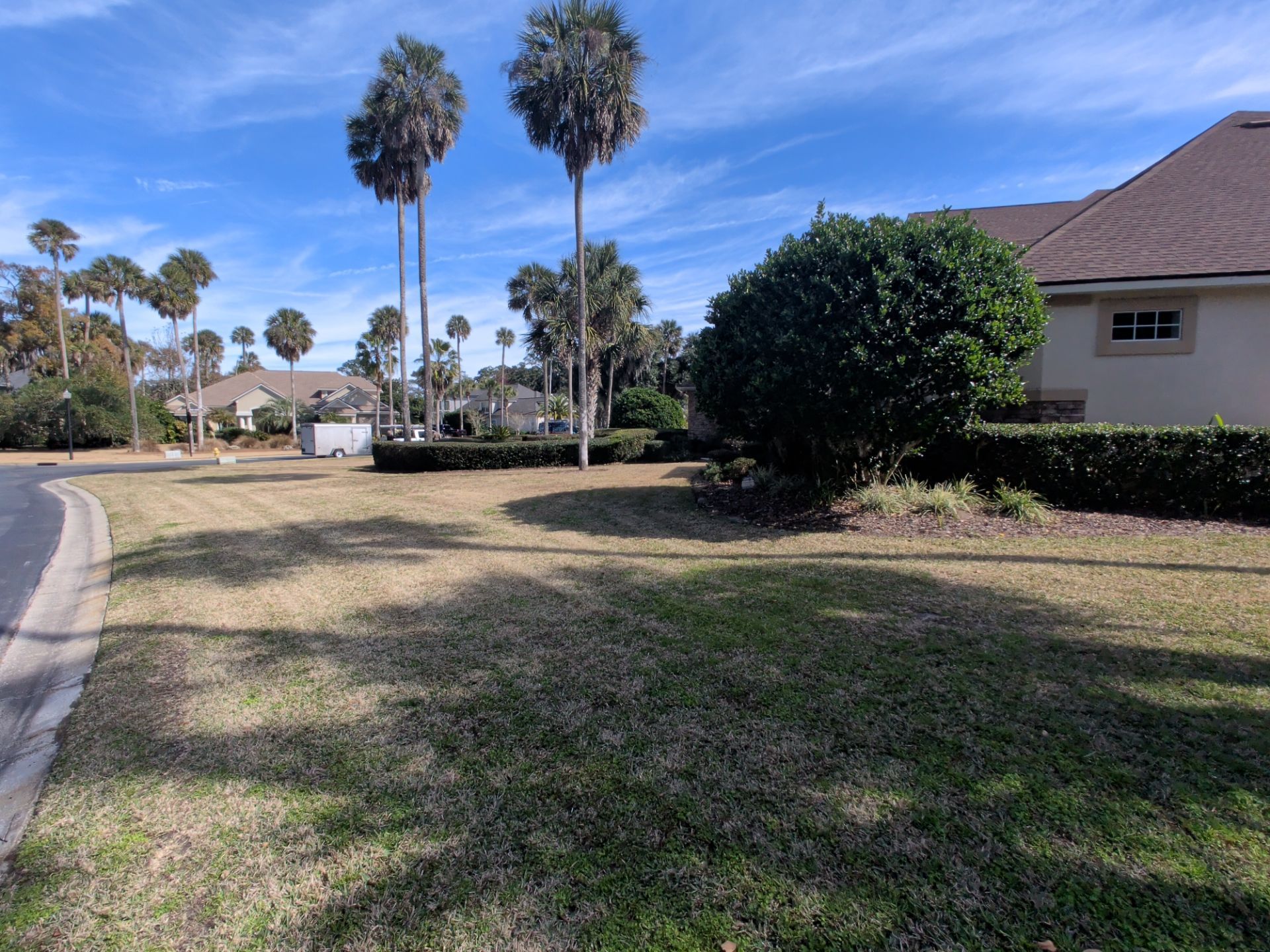 Grassy lawn with palm trees, shrubs, and houses under a blue sky on a sunny day.