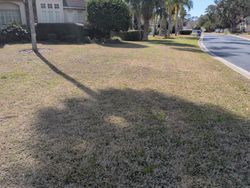 A brown lawn in front of a house next to a street with a shadow cast across the yard.