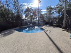 A backyard swimming pool with a slide, surrounded by a concrete patio, trees, and bright sunlight.