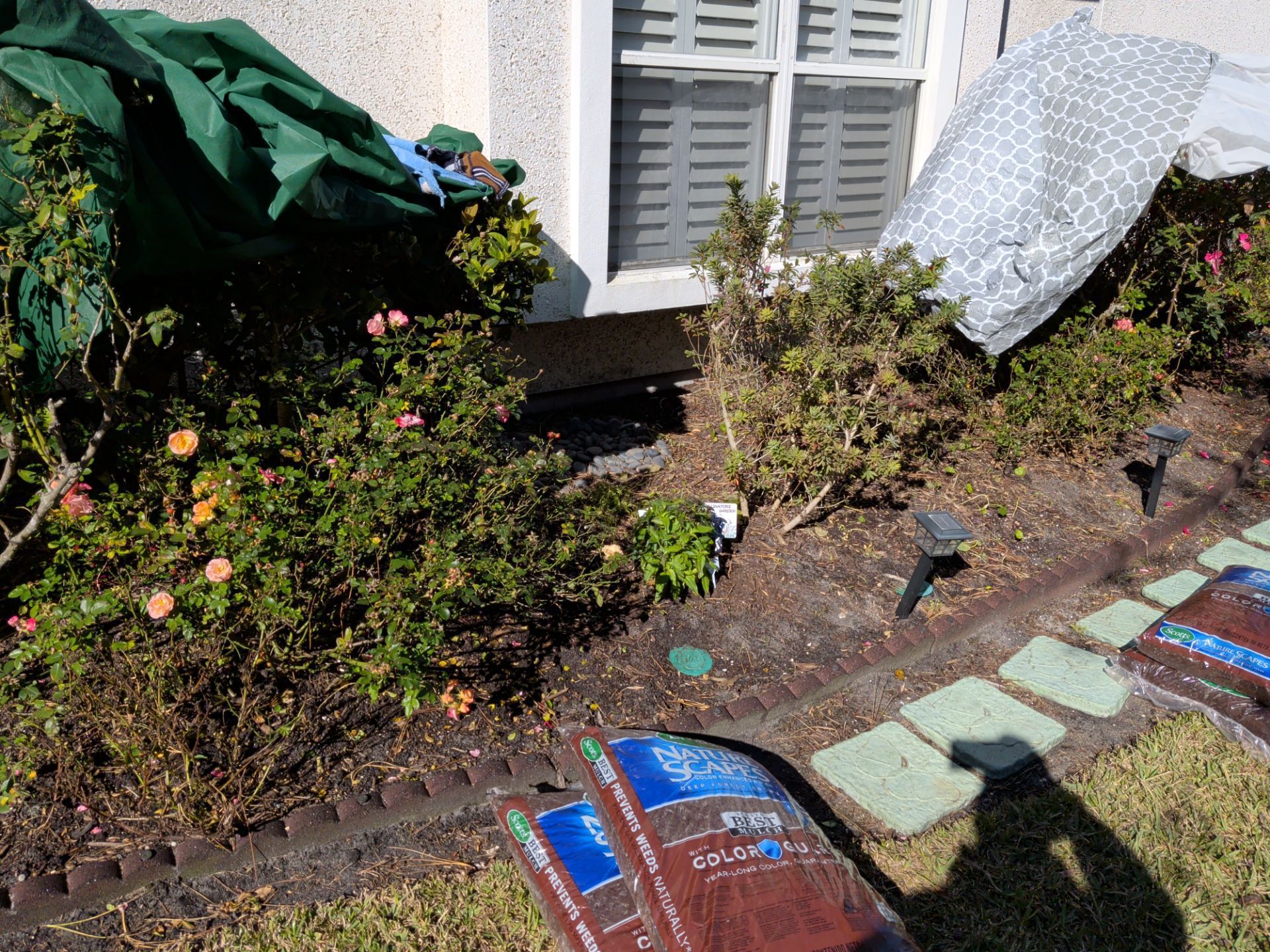 Garden bed with rose bushes, mulch, and solar lights beside a house with a window. Two bags of mulch sit in front.