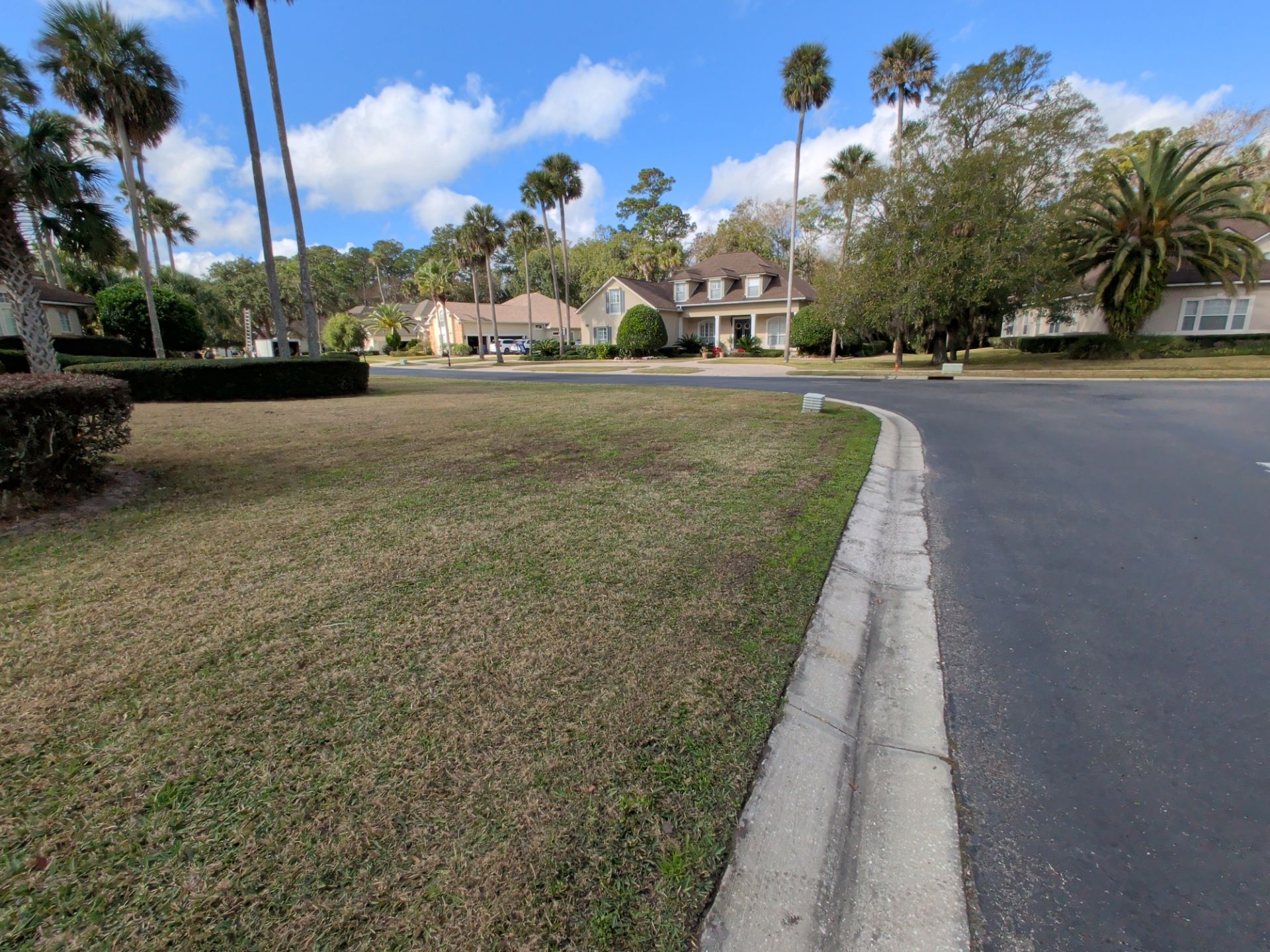 Suburban street with houses and palm trees under a blue sky, grass lawn in foreground.