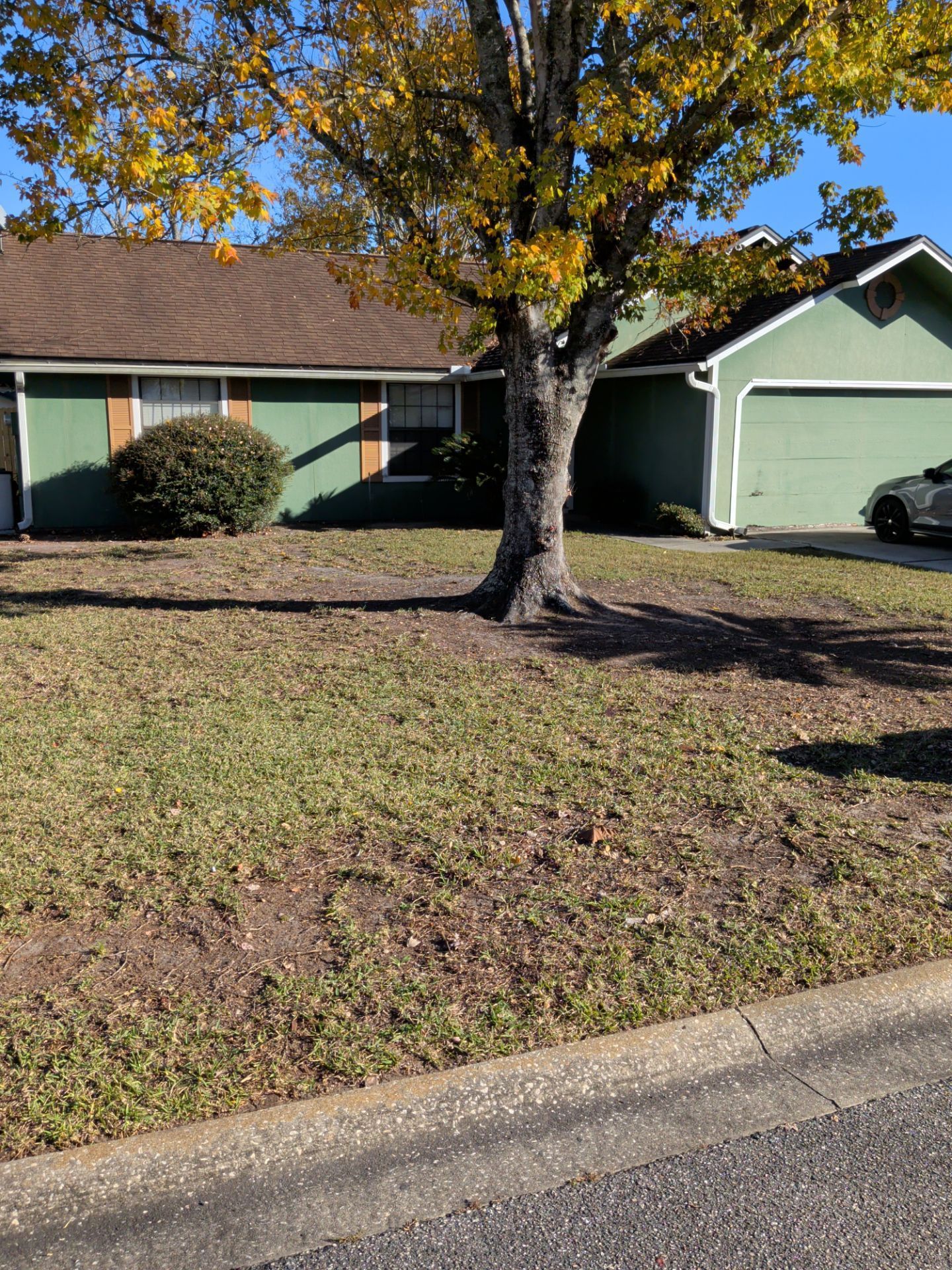 Green house with brown roof, a tree with yellow leaves in front, and patchy grass.