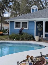 Person trimming bushes near a blue house with a pool.