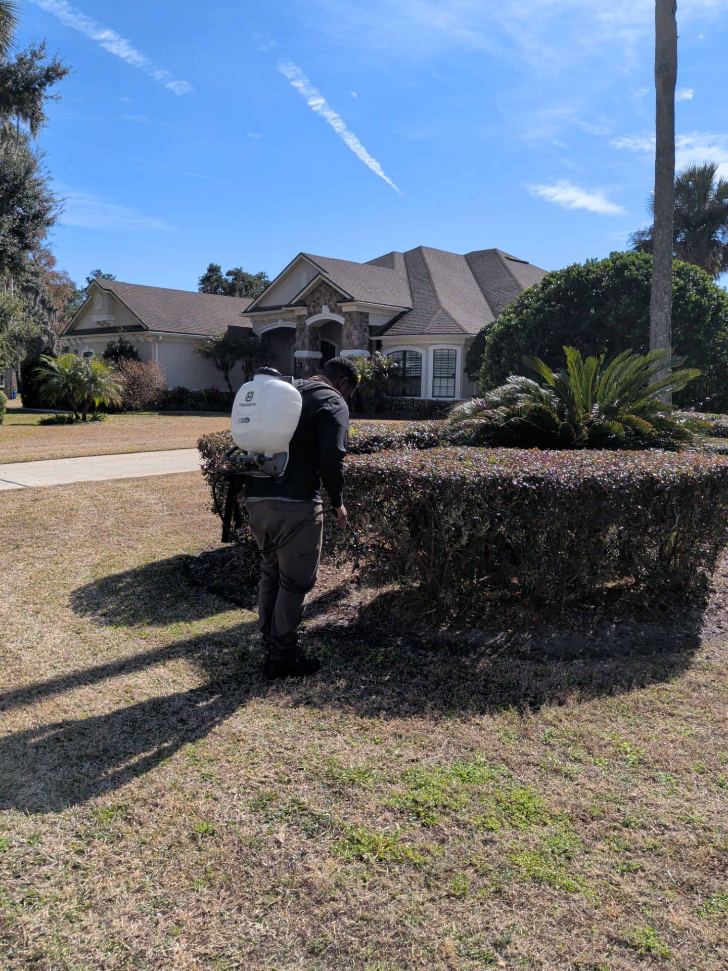 Man spraying bushes with a backpack sprayer in front of a house on a sunny day.
