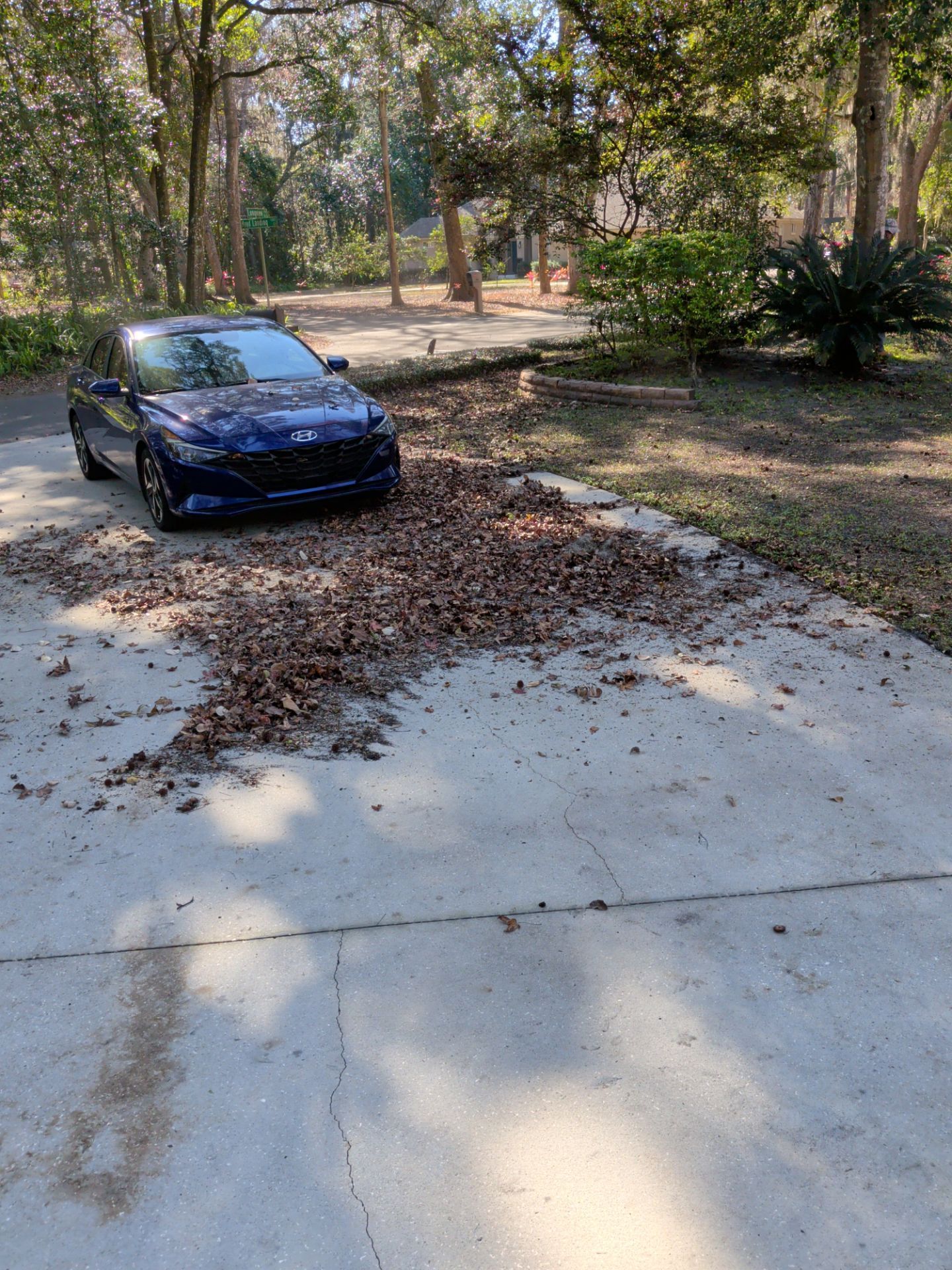 Blue car parked on driveway covered in leaves; trees in background.