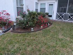 A flower bed with red roses, next to a white house and a screened porch.