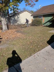 Man blowing leaves on a lawn in front of houses. Sunlight, shadow of a person taking the picture.