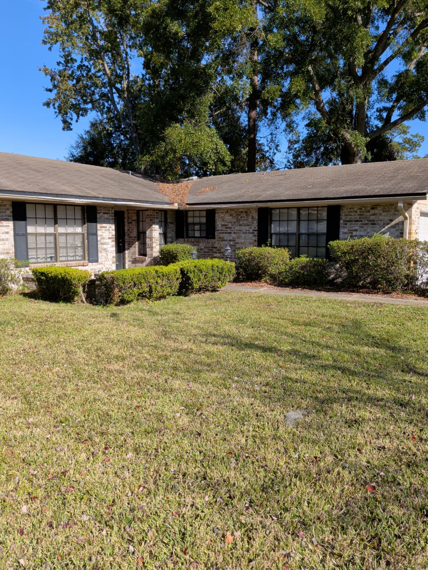 Single-story brick house with dark trim and windows. Green lawn and trimmed bushes in front.