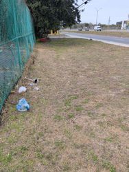 Grassy area beside a road, with a green chain-link fence and scattered litter.