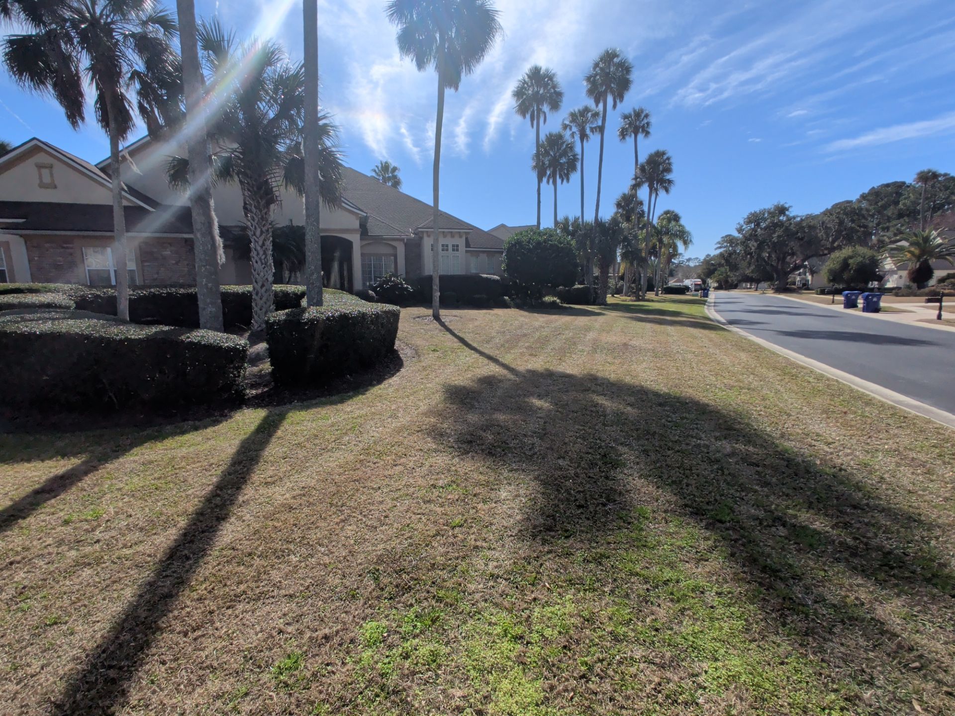 A house with palm trees, shrubs, and a grassy lawn on a sunny day. A street is on the right.