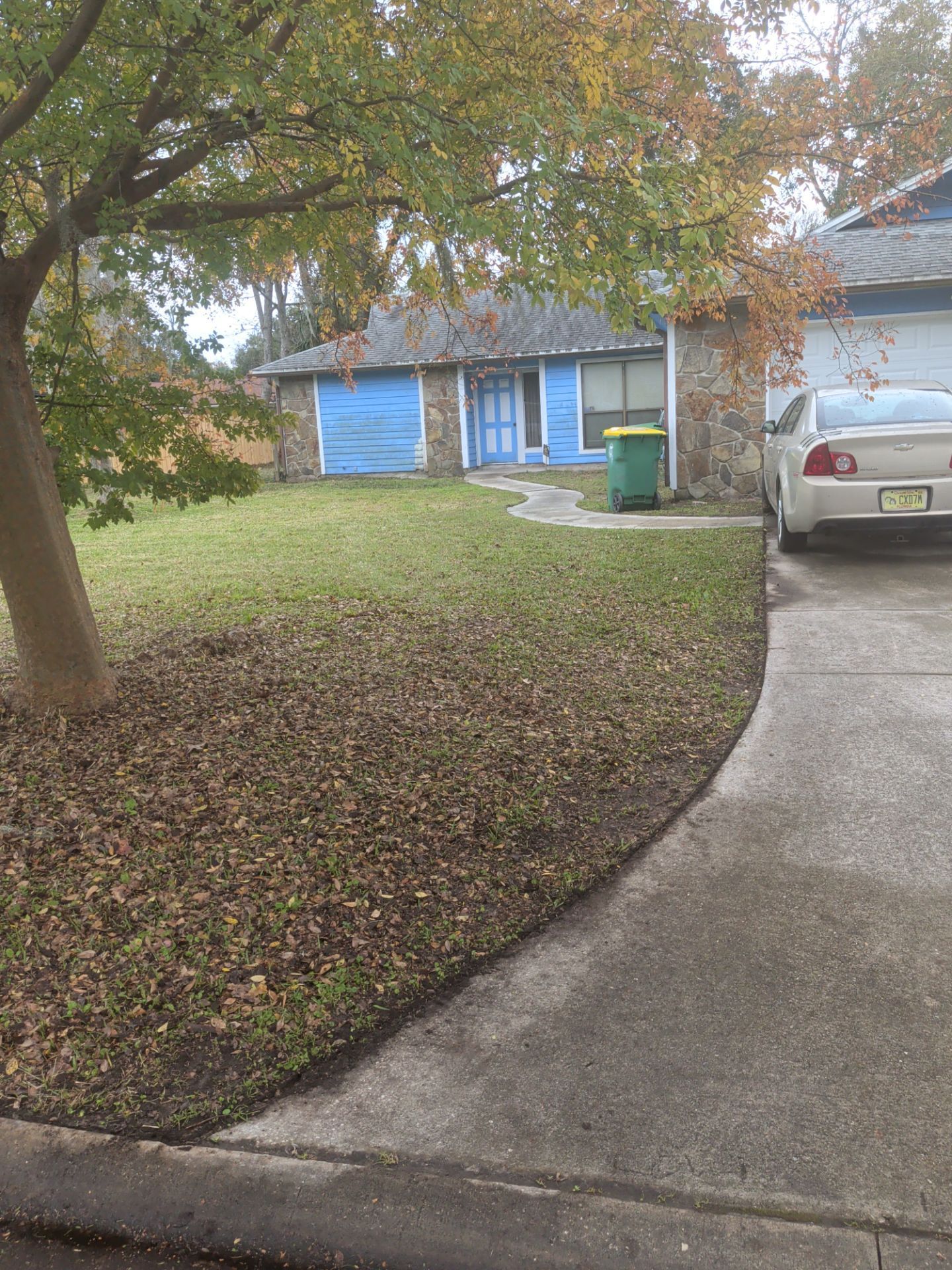 A house with a lawn covered in leaves, blue shutters, and a driveway with a car.
