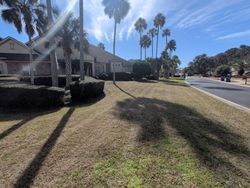 Low angle view of palm trees and brown grass under a blue sky, next to a building and road.