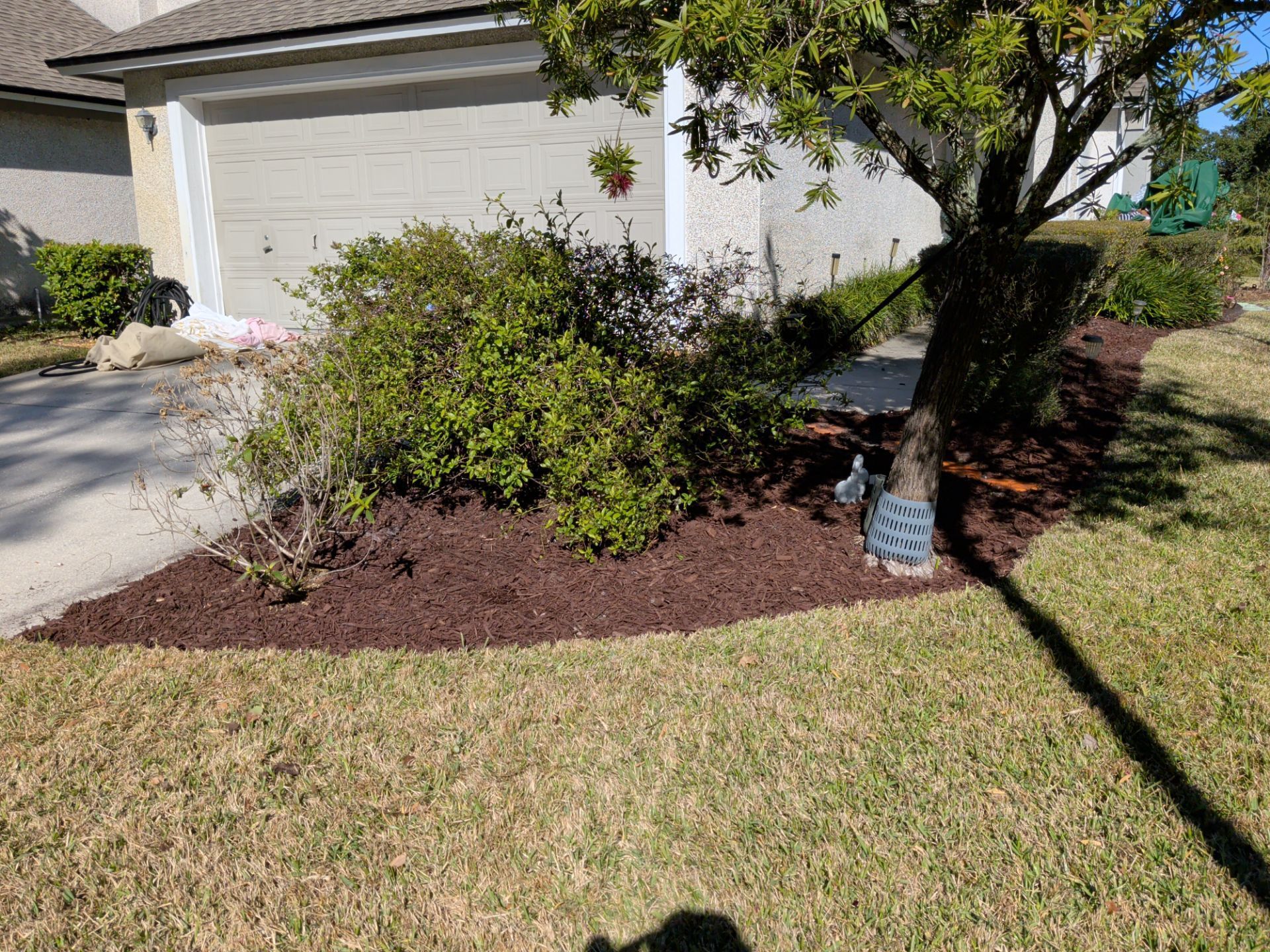 A landscaped front yard with mulch and shrubs near a garage, under a tree on a sunny day.