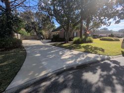 Concrete driveway leading to a house with a lawn and trees on a sunny day.
