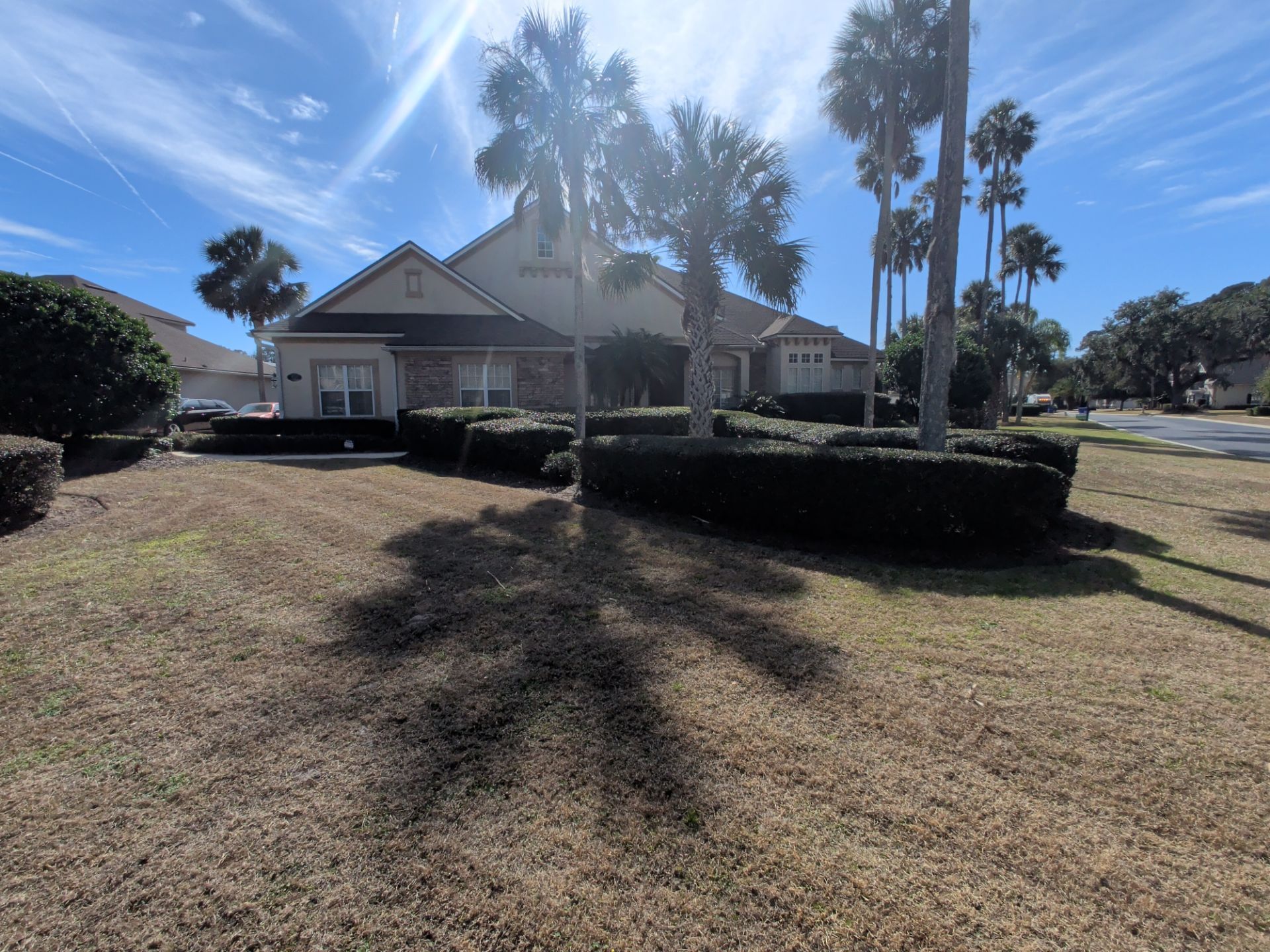 Suburban house with brown yard, green hedges, and palm trees under a bright blue sky.