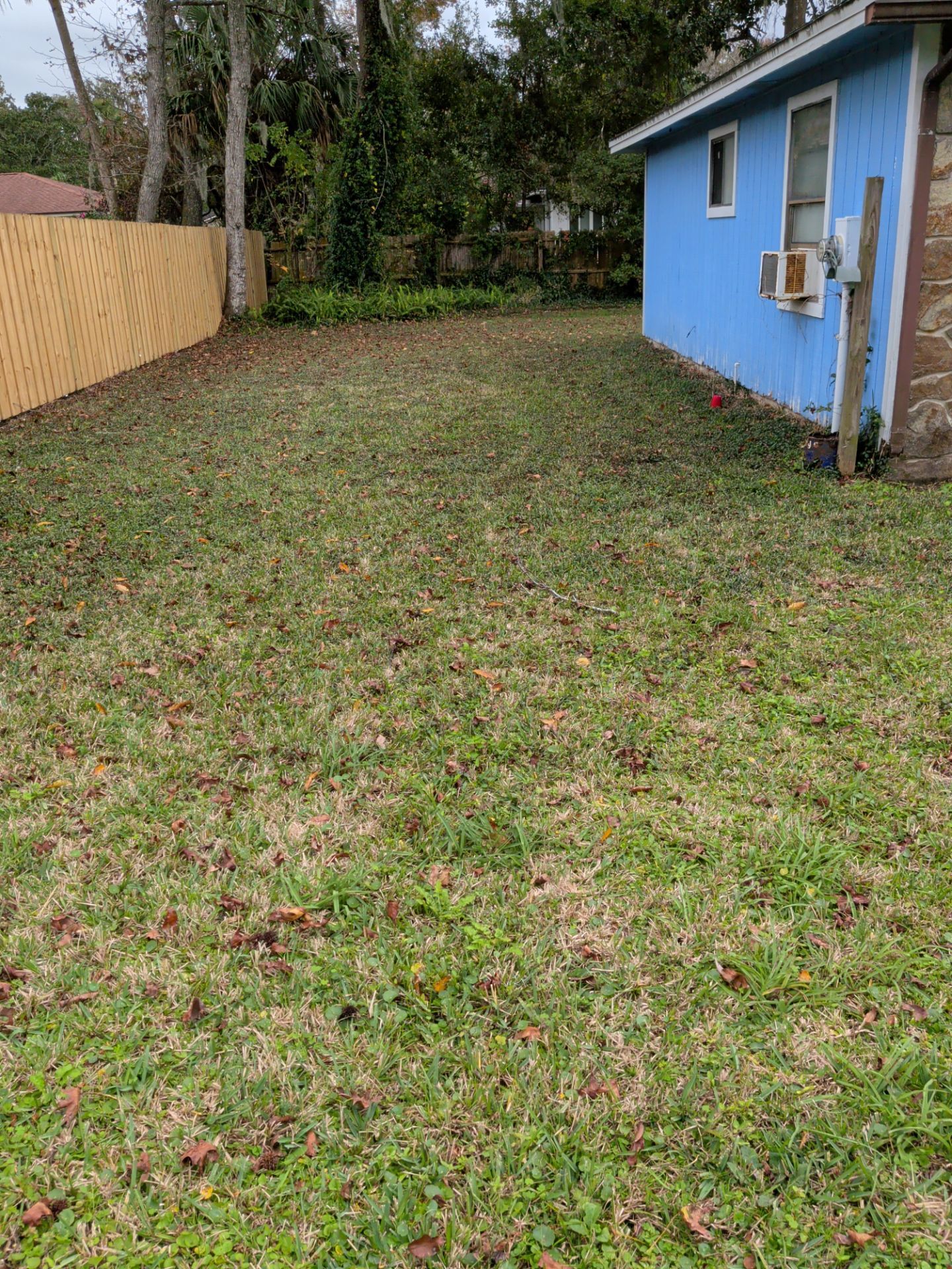 Grassy backyard with a light blue house on the right and a wooden fence on the left.