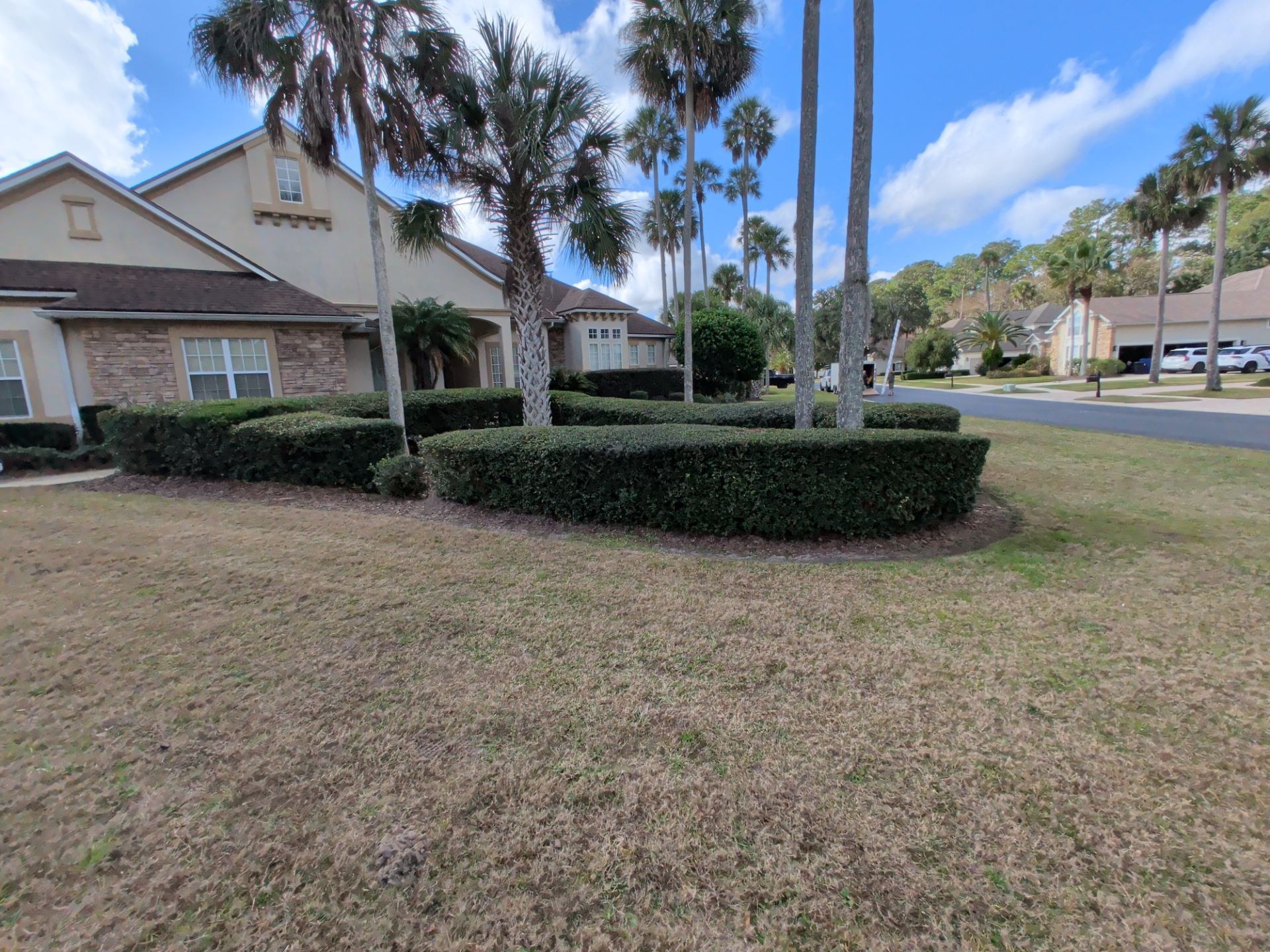 A house with neatly trimmed hedges and brown grass under a blue sky, palm trees in the background.