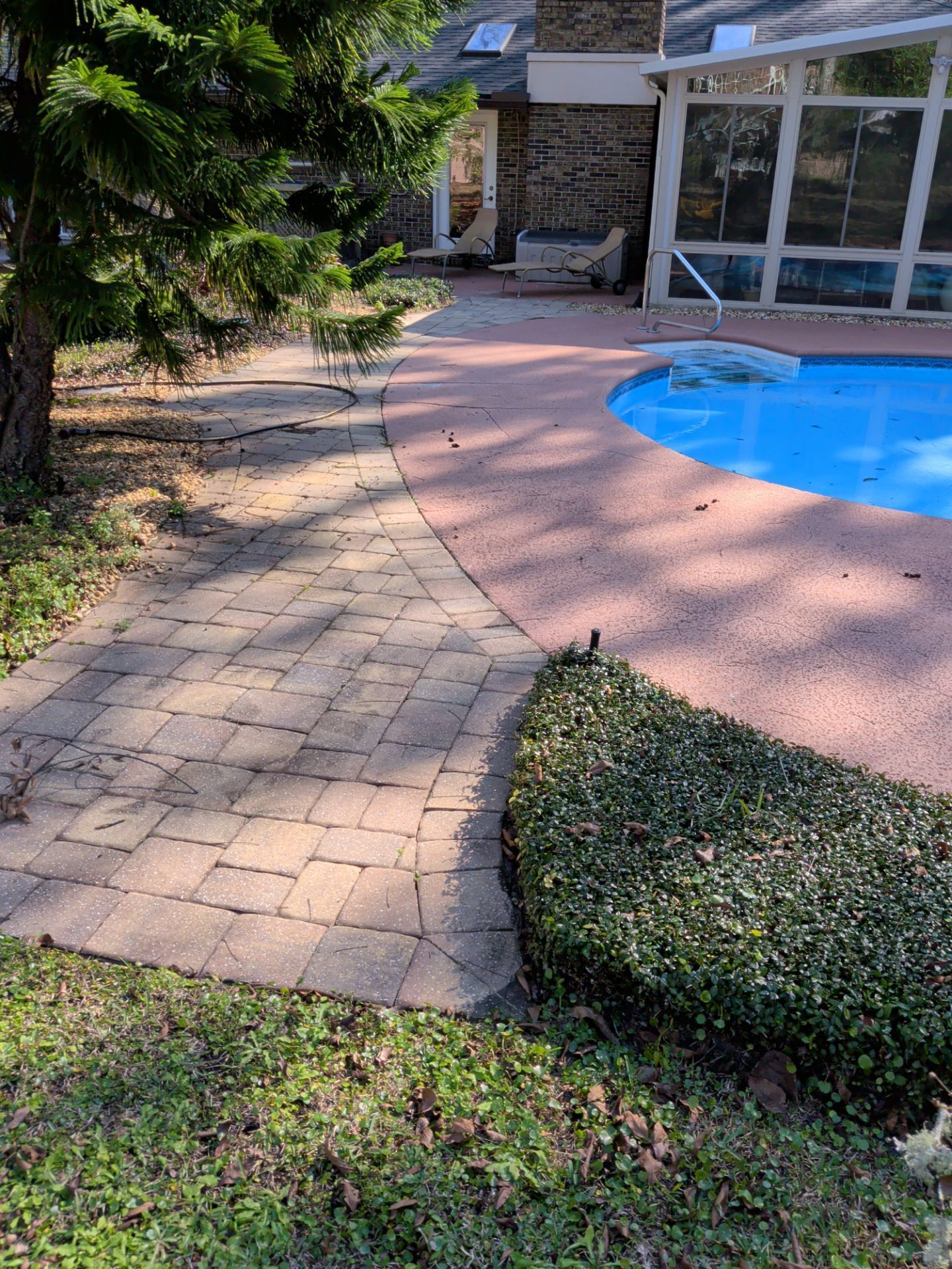 Brick pathway next to a pool with blue cover, trimmed bushes, and a building.