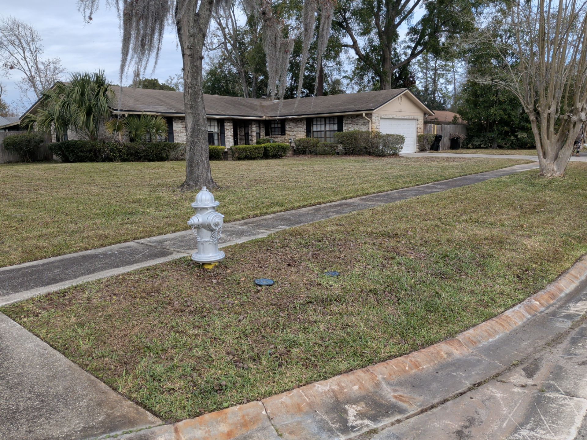 Low, one-story house with green lawn, sidewalk, and fire hydrant in front. Overcast day.